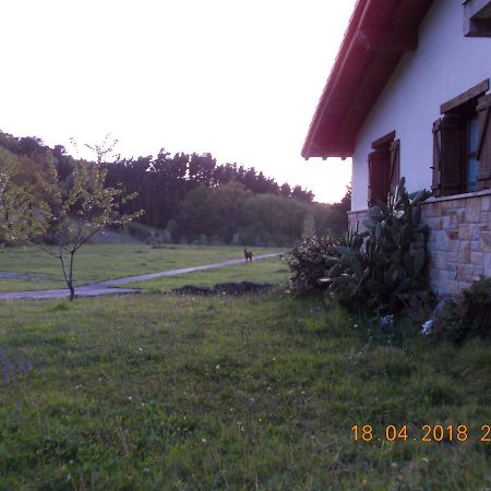 Casa Rural Miamendi Larrabetzu Buitenkant foto