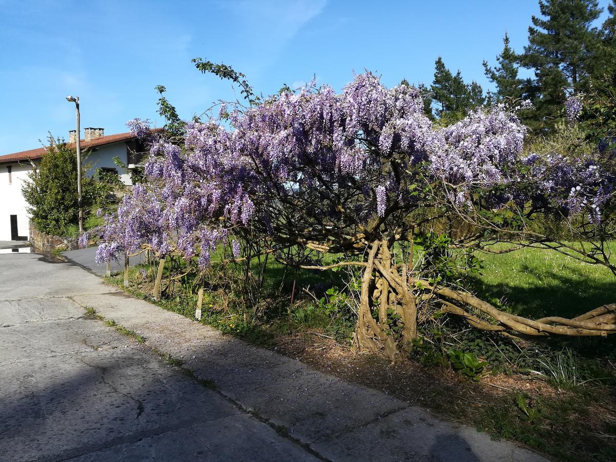 Casa Rural Miamendi Larrabetzu Buitenkant foto